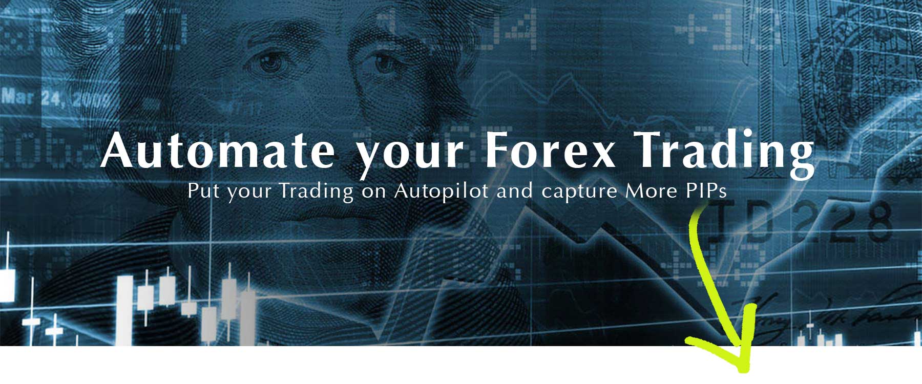 Forex how many trades a month